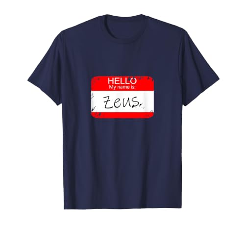 Hello My Name is Funny Halloween Costume Tees Hello My Name is Zeus Funny Halloween Greek Gods Tshirt T-Shirt - size chart