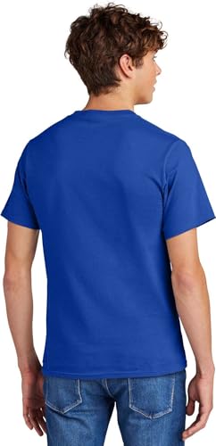Comical Shirt Horse Graphic Top for Equestrian and Animal Lovers Cotton Tee Adult Youth Tall Men Women - size chart