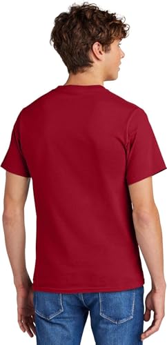 Comical Shirt Horse Graphic Top for Equestrian and Animal Lovers Cotton Tee Adult Youth Tall Men Women - size chart