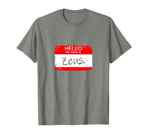 Hello My Name is Funny Halloween Costume Tees Hello My Name is Zeus Funny Halloween Greek Gods Tshirt T-Shirt - size chart
