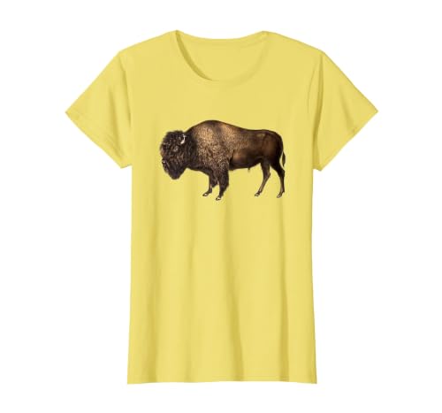 Altes Büffel-Design Buffalo Vintage Retro American Bison T-Shirt - size chart