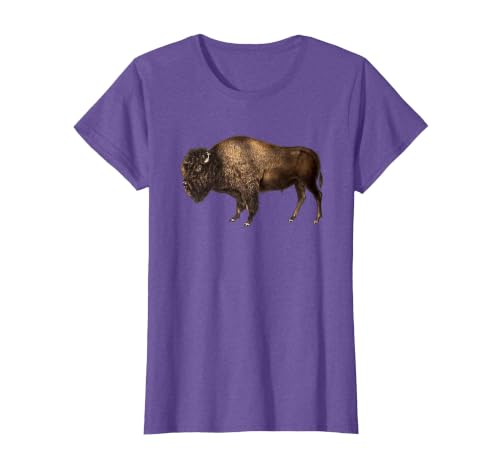 Altes Büffel-Design Buffalo Vintage Retro American Bison T-Shirt - size chart