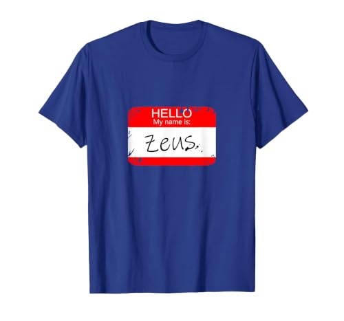 Hello My Name is Funny Halloween Costume Tees Hello My Name is Zeus Funny Halloween Greek Gods Tshirt T-Shirt - size chart