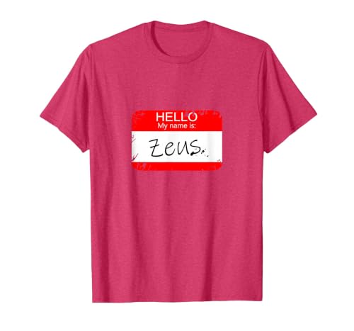 Hello My Name is Funny Halloween Costume Tees Hello My Name is Zeus Funny Halloween Greek Gods Tshirt T-Shirt - size chart