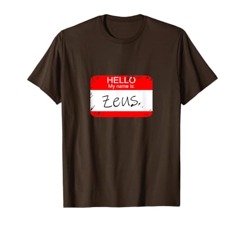 Hello My Name is Funny Halloween Costume Tees Hello My Name is Zeus Funny Halloween Greek Gods Tshirt T-Shirt - size chart