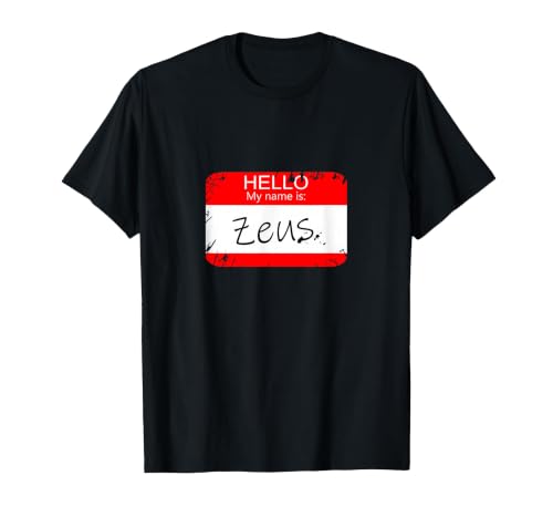 Hello My Name is Funny Halloween Costume Tees Hello My Name is Zeus Funny Halloween Greek Gods Tshirt T-Shirt - size chart