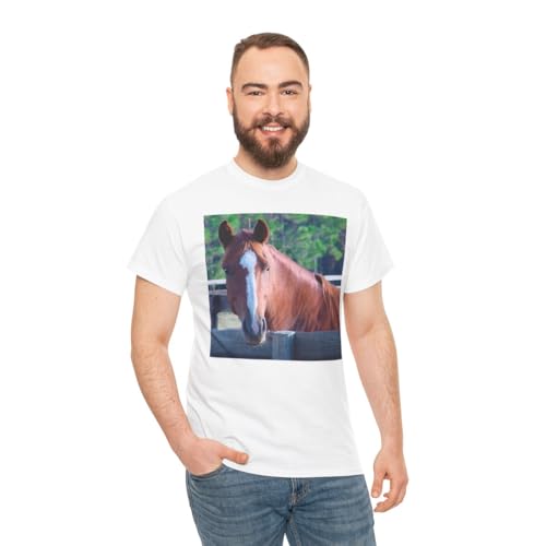 3dRose Quarter Horse Mare - size chart