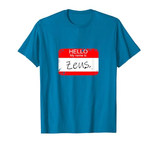 Hello My Name is Funny Halloween Costume Tees Hello My Name is Zeus Funny Halloween Greek Gods Tshirt T-Shirt - size chart