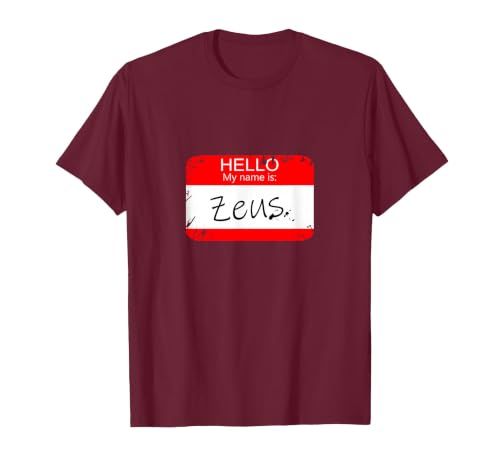 Hello My Name is Funny Halloween Costume Tees Hello My Name is Zeus Funny Halloween Greek Gods Tshirt T-Shirt - size chart