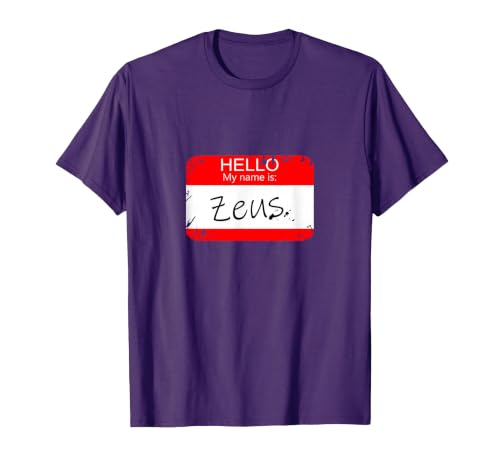 Hello My Name is Funny Halloween Costume Tees Hello My Name is Zeus Funny Halloween Greek Gods Tshirt T-Shirt - size chart
