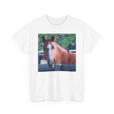 3dRose Quarter Horse Mare