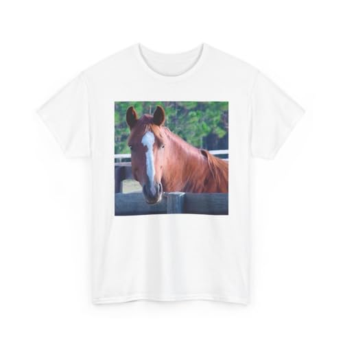 3dRose Quarter Horse Mare - size chart