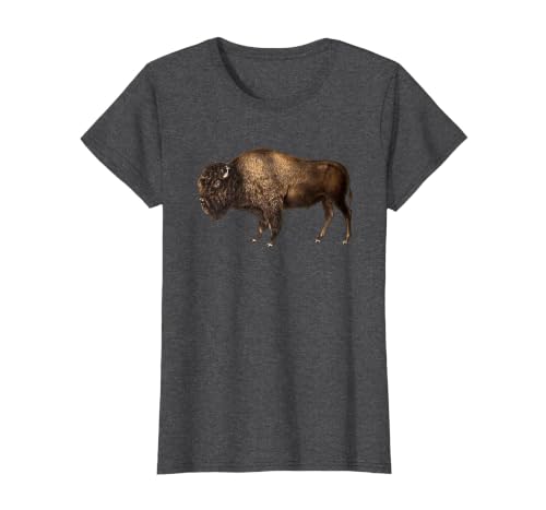 Altes Büffel-Design Buffalo Vintage Retro American Bison T-Shirt - size chart