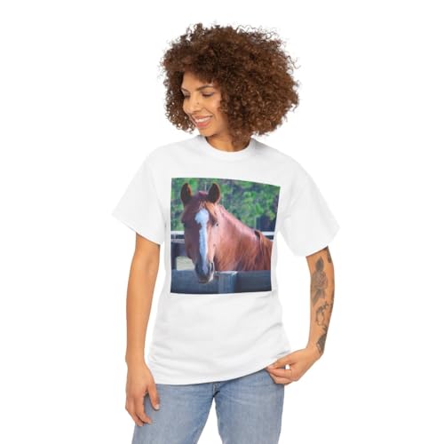 3dRose Quarter Horse Mare - size chart