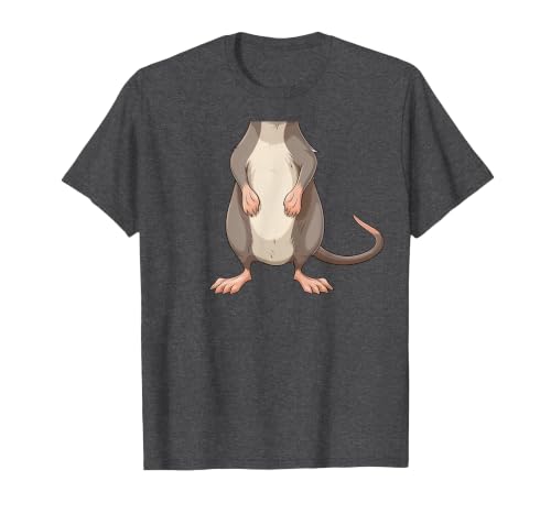 Mouse Headless Halloween Clothing Co. Funny Mouse Headless Rat Body Last Minute Halloween T-Shirt - size chart