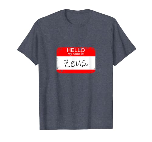 Hello My Name is Funny Halloween Costume Tees Hello My Name is Zeus Funny Halloween Greek Gods Tshirt T-Shirt - size chart