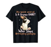 Cute Rabbit Lover Bunny Graphic T-Shirt (Dark Heather Grey) — design detail