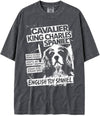 BABATEES U.S.A. MAX-Heavyweight Punk Rock Animals Shaka Wear Oversized 7.5oz Cotton Tshirt - size chart