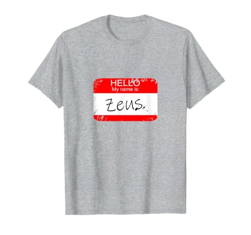 Hello My Name is Funny Halloween Costume Tees Hello My Name is Zeus Funny Halloween Greek Gods Tshirt T-Shirt - size chart