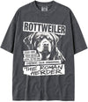 BABATEES U.S.A. MAX-Heavyweight Punk Rock Animals Shaka Wear Oversized 7.5oz Cotton Tshirt - size chart