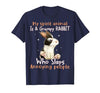 Cute Rabbit Lover Bunny Graphic T-Shirt (Dark Heather Grey) — design detail