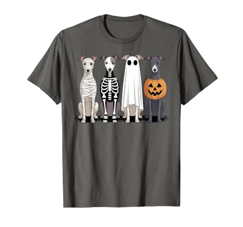 Funny Retro Italian Greyhound Dog Halloween Witch Spooky Ghost Italian Greyhound Pumpkin Halloween Skeleton T-Shirt - size