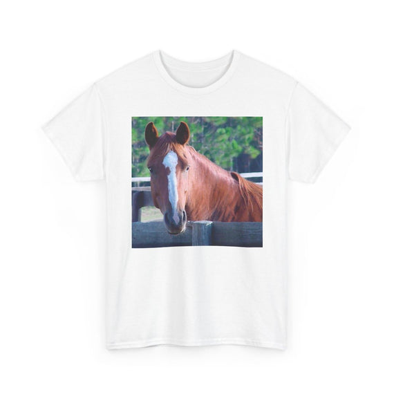 3dRose Quarter Horse Mare - As Pictured