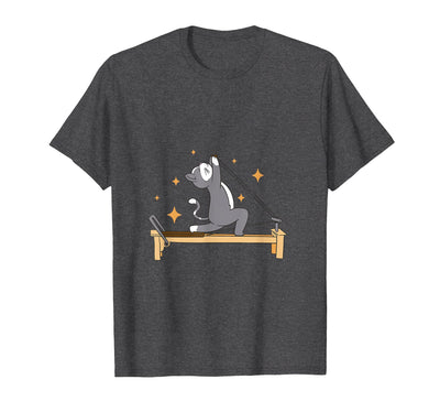 Cat Doing Pilates Workout Routine T-Shirt