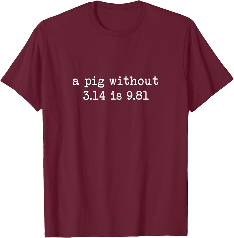 Pig Pi Gravity Math and Physics A Pig Without 3.14 Is 9.81 Math Physics T-Shirt - Burgundy