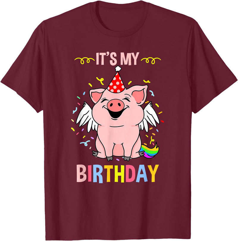 Its My Birthday Pig T-Shirt - Burgundy