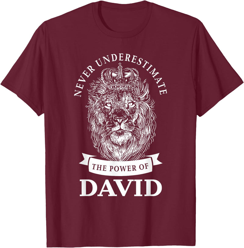 Gifts for David David Gift Name Lion T-Shirt - Burgundy