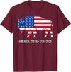 American Buffalo Design for 250th Anniversary Vintage Retro Bison American Flag Buffalo Simple 4th of July T-Shirt - Burgundy