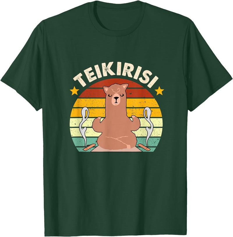 Teikirisi Take It Easy Funny Spanish Llama Latina Yoga T-Shirt - Dark Green