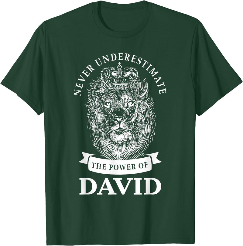 Gifts for David David Gift Name Lion T-Shirt - Dark Green