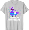 Todays My Bday LLama Tees Cute Birthday Llama Funny Bday Animal Party T-Shirt - Silver Grey