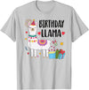 Matching Llama Birthday Party Supplies Birthday Llama Girl Birthday Party Llama Birthday Outfit T-Shirt - Silver Grey