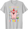 Its My Birthday Pig T-Shirt - Silver Grey