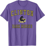 Official High School Fan Gear Clinton High School Dark Horses T-Shirt - Purple Heather