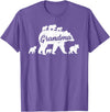 Matching Bear Family Apparel Vintage Grandma Bear with 6 Cub Mother's Day T-Shirt - Purple Heather
