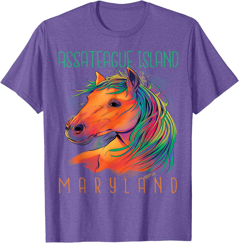 Assateague Island Horse Riding Maryland Souvenir Colorful Horse Assateague Island Maryland Riding Souvenir T-Shirt - Purple Heather