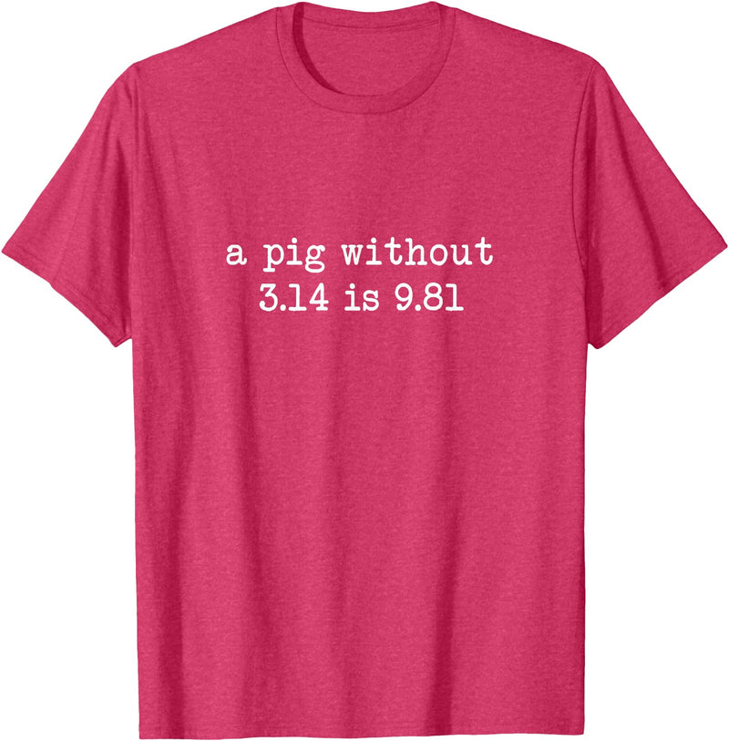 Pig Pi Gravity Math and Physics A Pig Without 3.14 Is 9.81 Math Physics T-Shirt - Red Heather