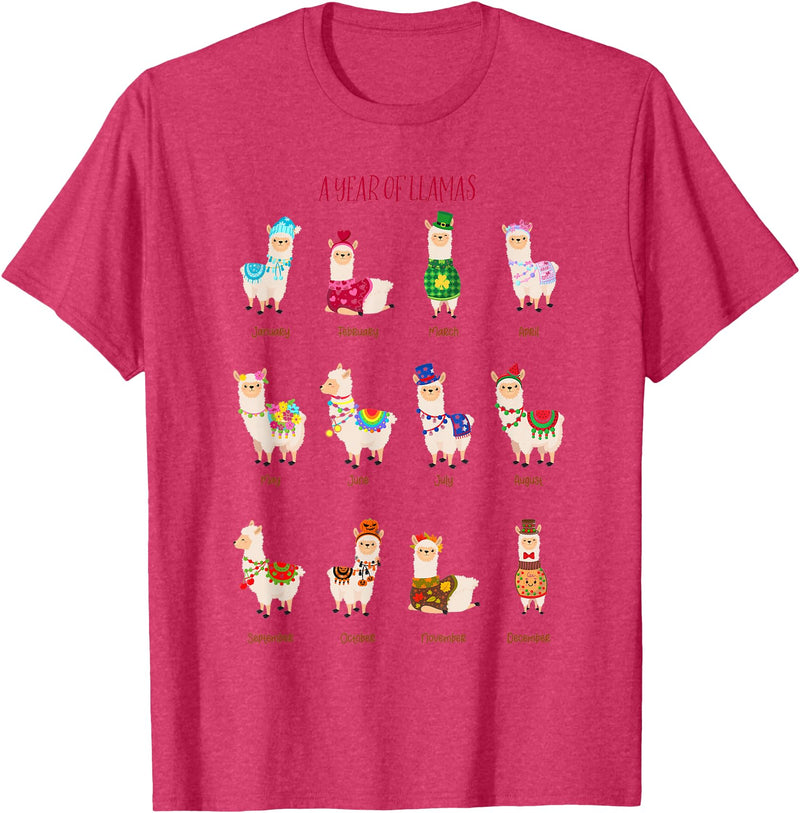 Funny Llamas A Year Of Llamas Funny Llama Alpaca T-Shirt - Red Heather