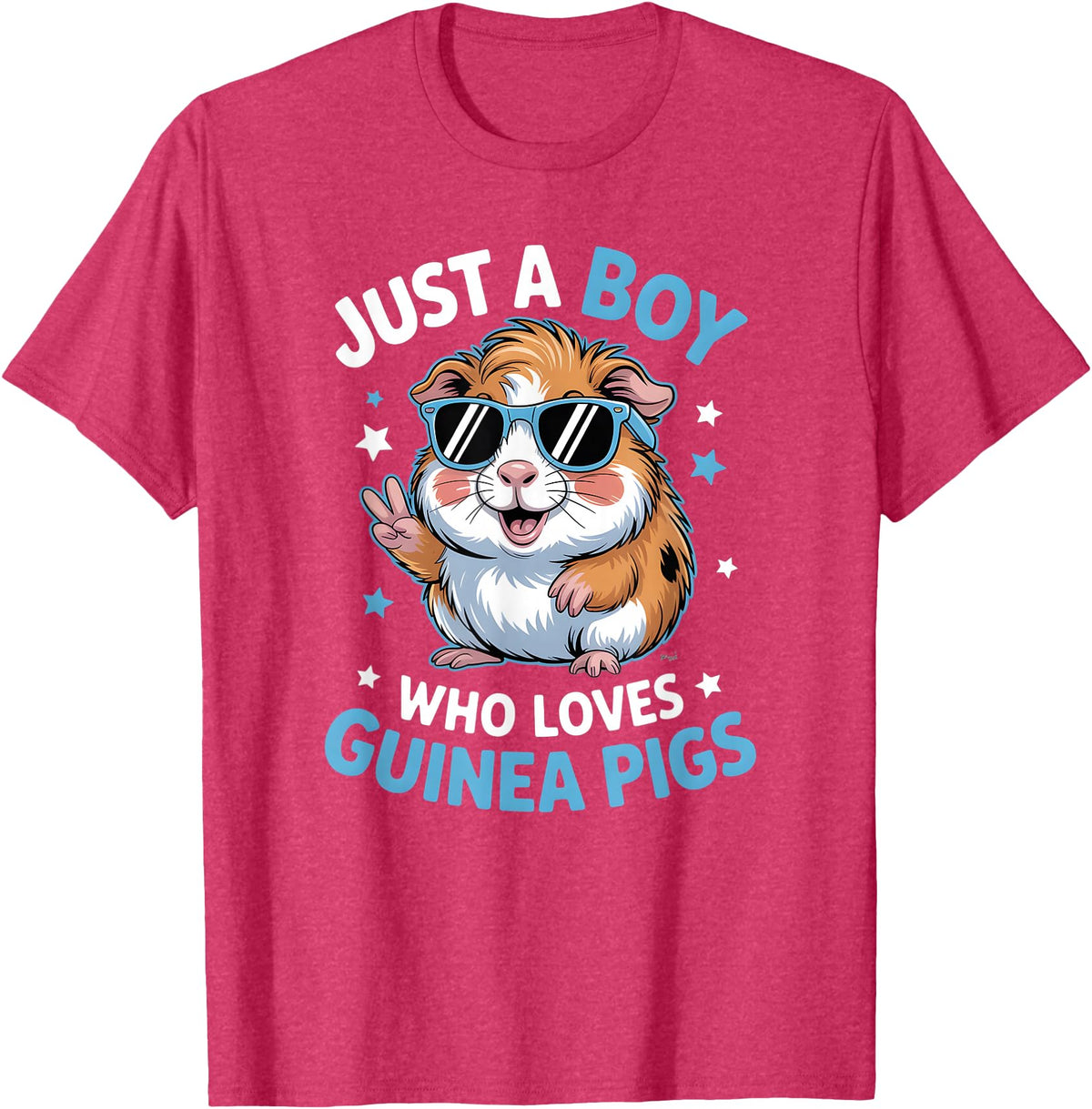 Guinea Pig Shirts & Gifts for Boys Boys Guinea Pig T-Shirt - Red Heather