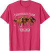 Horse Lover Gifts Chincoteague Island Virginia Horse Assateague Pony T-Shirt - Red Heather