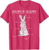 Rabbit Anatomy Bunny Lover Animal Pet Owner Gift T-Shirt in Red Heather