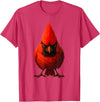 I just really like animals Angry Cardinal Artwork Red Bird Nature Wildlife Graphic T-Shirt - Red Heather