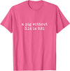 Pig Pi Gravity Math and Physics A Pig Without 3.14 Is 9.81 Math Physics T-Shirt - Pink Heather