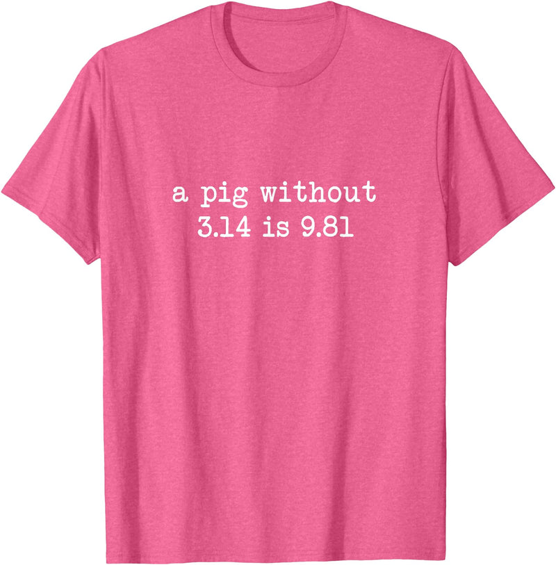 Pig Pi Gravity Math and Physics A Pig Without 3.14 Is 9.81 Math Physics T-Shirt - Pink Heather