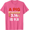 Clever Humor For Exact Science Teachers & Students A Pig Without 3.14 Is 9.8 Pun About Physics And Mathematics T-Shirt - Pink Heather
