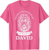 Gifts for David David Gift Name Lion T-Shirt - Pink Heather